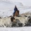 УИХ-ын дэд дарга Н.Энхболд Төв аймагт ажиллалаа