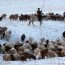 Малчдын тэтгэврийн насыг наашлуулах асуудал хүлээгдэж байна