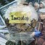 Ахмадууд гэр бүлийн хүчирхийллийн улмаас тэтгэвэрээ зээлдэг гэсэн судалгаа гарчээ