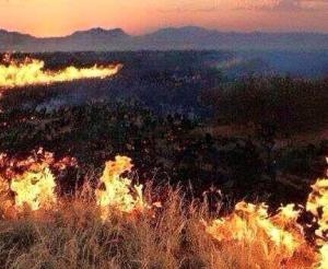 Ерөнхийлөгч түймэр гарсан аймгуудад ажиллахаар явлаа